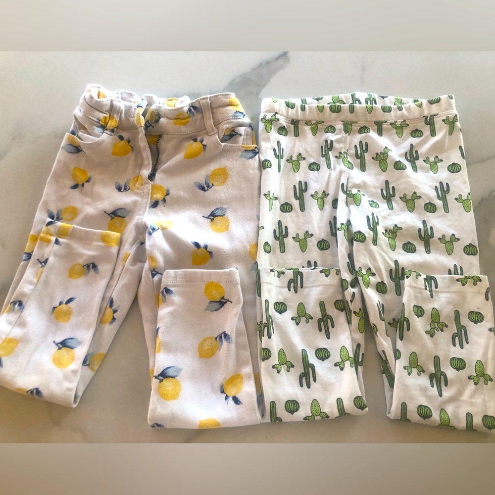 Monica + Andy Organic Cotton Pants Set 4T-5T | Succulent Print | Girls